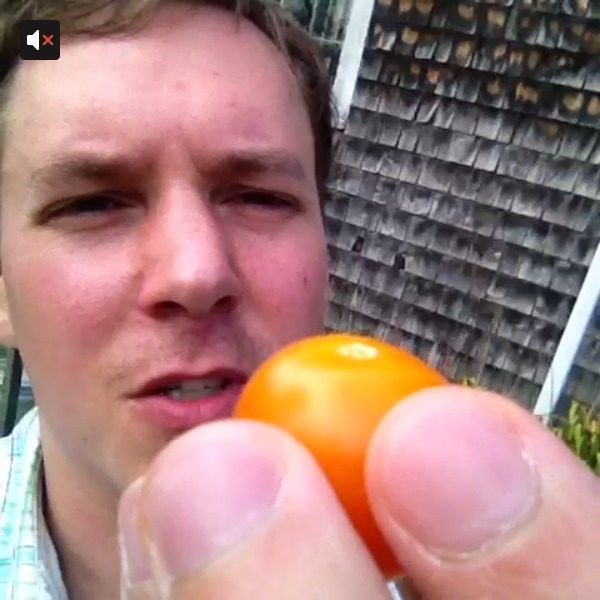 Dan Freund - Tomato