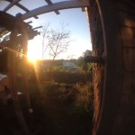Some of my best vines from September, 2013