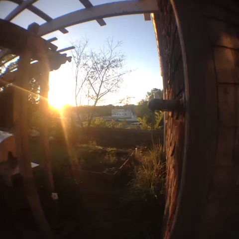 Some of my best vines from September, 2013 Some of my best vines from September, 2013