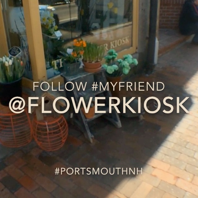 I love local businesses like the Flower Kiosk. I love local businesses like the Flower Kiosk.